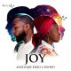 Angélique Kidjo & Davido "Joy" Cover Art