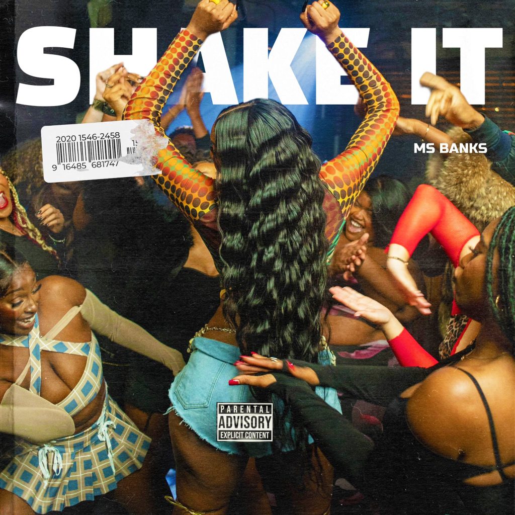 Ms Banks "Shake It" Cover Art