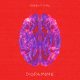 Fireboy DML "Dopamine"